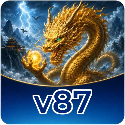 Overview v87